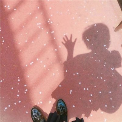 星落满汀州